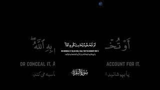 Al Baqarah Ayah 284 Yasser AlDosari quran [upl. by Ander]