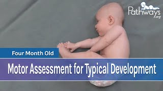 4 Month Baby Motor Assessment for Typical Development [upl. by Lindi]