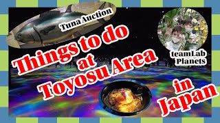 tuna auction teamLab Things to do at Toyosu area in Japan [upl. by Hurwitz]