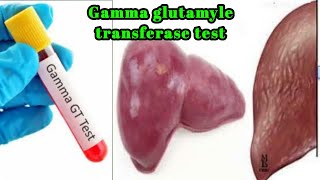 gamma glutamyl transferease or transpeptidase GGT or GGTP blood test [upl. by Hayikaz]