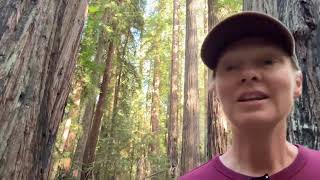 DAY 3 Redwoods and amazing friends [upl. by Anivram]