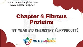 Chapter 4 Fibrous Proteins Protein Structure and Function Lippincott [upl. by Belford]