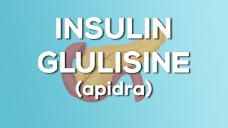 Insulin Glulisine Apidra Nursing Drug Card Simplified  Pharmacology [upl. by Laban]