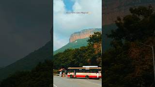 This Place is just Magical tirumala tirupati govinda shorts ytshort subscribe amaran support [upl. by Aenitsirhc42]