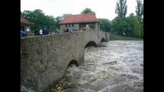 Hochwasser am Palmengartenwehr  Weiße Elster in Leipzig [upl. by Von397]