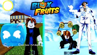 🧊Ice Fruit User Level 1 to 700 NOOB TO PRO  Blox Fruits❄🍎 [upl. by Raquela461]