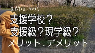 【自閉症知的中】支援学校？支援級？普通級？メリットデメリット [upl. by Aneleasor]