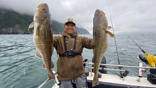 CRAZIEST Giant COD Bite Ever ALASKA DEEP SEA FISHING [upl. by Enyallij475]