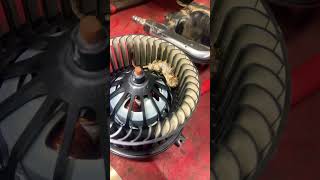 Why Is My Blower Motor Making Noise mechanic automobile automotive [upl. by Onibag]