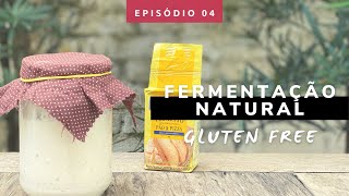 Fermentação Natural x Fermento Biológico como substituir [upl. by Vitoria]