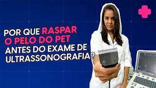 Tricotomia uma preparação INDISPENSÁVEL para o exame de ultrassonografia veterinária [upl. by Latricia]