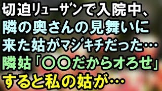 【スカッとする話】切迫ﾘｭｰｻﾞﾝで入院中、隣の奥さんの見舞いに来た姑がﾏｼﾞｷﾁだった…隣姑｢〇〇だからオろせ｣すると私姑が…【スカッと便り】 [upl. by Tunk]