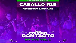 Caballo R15  Grupo Primer Contacto  EN VIVO VOL 1 [upl. by Letnuahs]