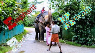 Elephant  Kumily  Kerala  India Video 33 shailpoints travel funvacation elephant photography [upl. by Philips946]