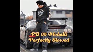 Sidhu Moose Wala PB 65 SlowedReverb  Sidhu Moose Wala New Song  Bhatti Records [upl. by Oine]