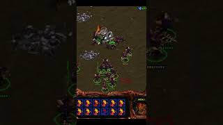 StarCraft Zerg  OHG Shorts [upl. by Macintosh]