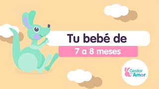 Tu bebé de 7 a 8 meses [upl. by Yebot]