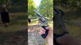 Will 38 Special Smith and Wesson Revolver Spin 38 inch steel shorts magnum [upl. by Eusoj]