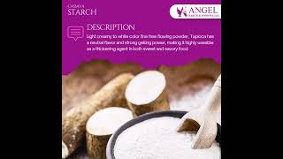 Bulk Starch for Sale  Cassava Starch  Tapioca Starch  Yuca Starch  Manioc Starch Manufactures [upl. by Hattie276]