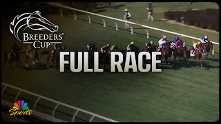 Breeders Cup 2024 TAA Stakes Full Race  NBC Sports [upl. by Tisbee39]