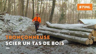 Scier un tas de bois  STIHL Tronçonneuses [upl. by Pirbhai60]