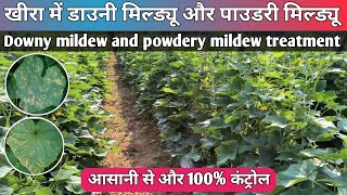 Downy Mildew control Easily  Powdery Mildew treatment  Downy Mildew fungicide [upl. by Inahs152]