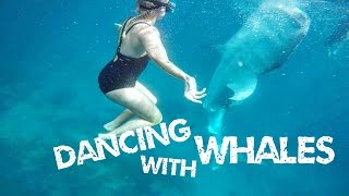 My family crashed my Honeymoon Swim with the Whale Sharks in Cebu [upl. by See]