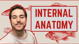 Ichthyology Lesson 4  Internal Anatomy [upl. by Falo239]