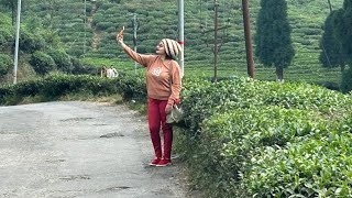 banglavlog Sittong to Tinchuley  Lepcha Monastery  ahaldara View Point  Namthing Pokhri Ep3 [upl. by Doownyl927]