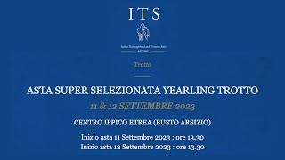 Aste ITS 2023  Prima sessione [upl. by Beatty]