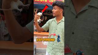 CHOTU KA RAT 🐀 FRIEND shorts stuartgamer01 [upl. by Mcgill]