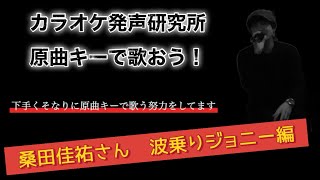 桑田佳祐さんの波乗りジョニーを原曲キーで歌いました 思った以上に高い曲でした [upl. by Sylvia]