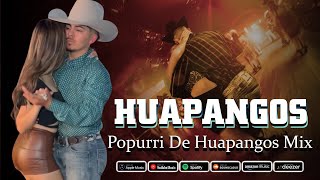 Mix de Huapangos 2024  Popurri De Huapangos Chingones Mix  Para Bailar Zapateado [upl. by Airretnahs]