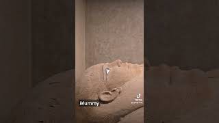 mummy saqqara eygpt pyramidsofegypt cairo مصر الاهراما قاهرة [upl. by Adnim]