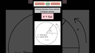 physicsrelation between linear velocity and angular velocityphysics formulaconceptSHORTSNCERT [upl. by Giddings]