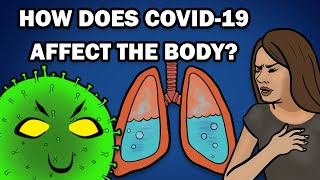 HOW DOES COVID19 AFFECT THE BODY [upl. by Kcirre]