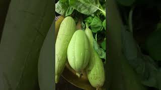 Green amaranthus and smooth gourd nenua from my garden for todays lunch [upl. by Mars]