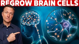 Renew amp Protect Your Brain Cells  Brain Derived Neurotrophic Factor – Dr Berg [upl. by Assiralk]