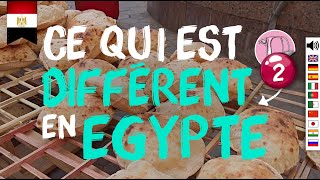 175 Différences et comparaison Égypte VS Occident  Animaux  pains [upl. by Aix251]