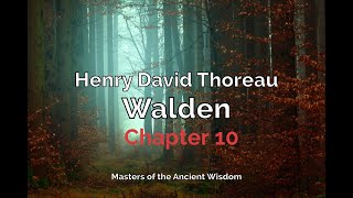 Walden Audiobook  Chapter 10 [upl. by Nasas]