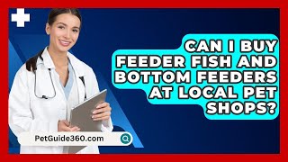 Can I Buy Feeder Fish and Bottom Feeders at Local Pet Shops  PetGuide360com [upl. by Ateuqram]