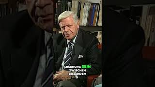 Idealer Politiker Moral und klare Ziele vereinen Helmuts Schmidt klaren Vorstellungen davon 1993 [upl. by Attelrahs]