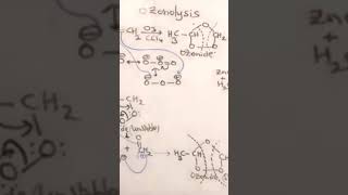 ozonolysis of Alkenes mechanism [upl. by Carn977]