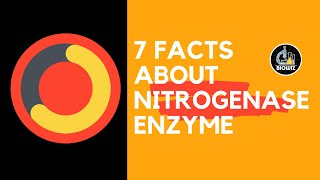 Nitrogenase Enzyme  Nitrogen fixation  Nitrogen Metabolism [upl. by Newg]