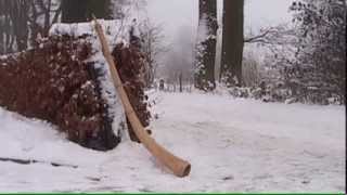 Kerstwandeling Ootmarsum [upl. by Boehmer]