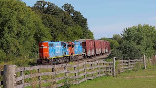 Railfanning the CN Waukesha Sub Ft UP and NS Leaders GTW Duo Runs LHF on L508 and More [upl. by Rush]