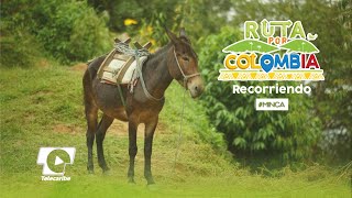 Ecoturismo en Minca Magdalena  Ruta por Colombia [upl. by Egnalos]