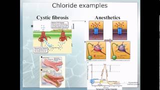 Pathophysiology 10 Electrolyte imbalace [upl. by Valene]