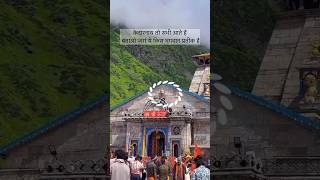 kedarnath mein bhole Baba ke darshan kedarnath shorts youtubeshorts ytshorts [upl. by Ilak]