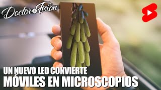 UN LED CONVIERTE MÓVILES en MICROSCOPIOS 🔬 [upl. by Attenov]